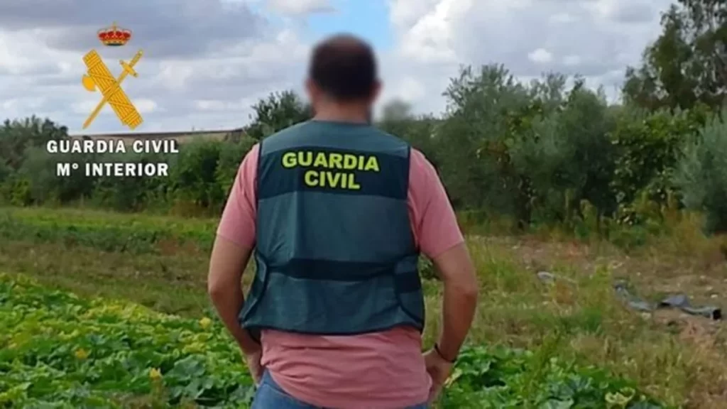 La Guardia Civil de Coria desarticula una banda criminal dedicada al tráfico de drogas 