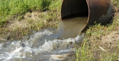 Problema de vertidos de aguas fecales al río Jerte en Plasencia