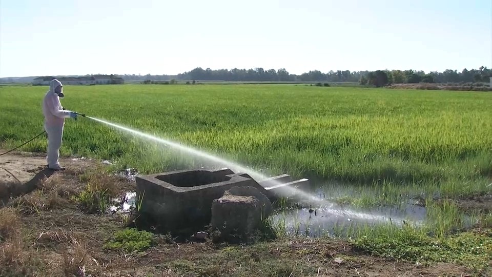 Descienden casos de virus del Nilo en Extremadura en 2025