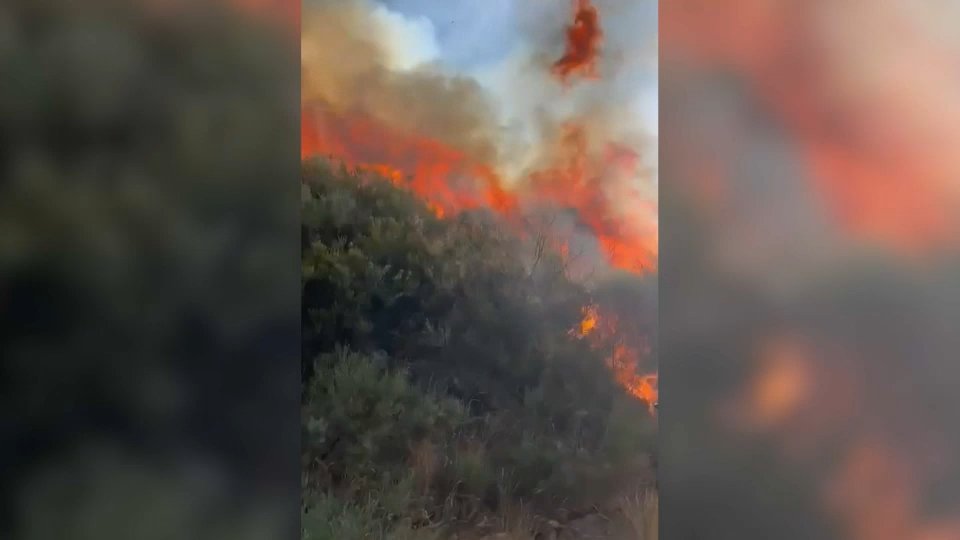 El incendio de Jarilla llega a la cumbre de Candelario en Salamanca