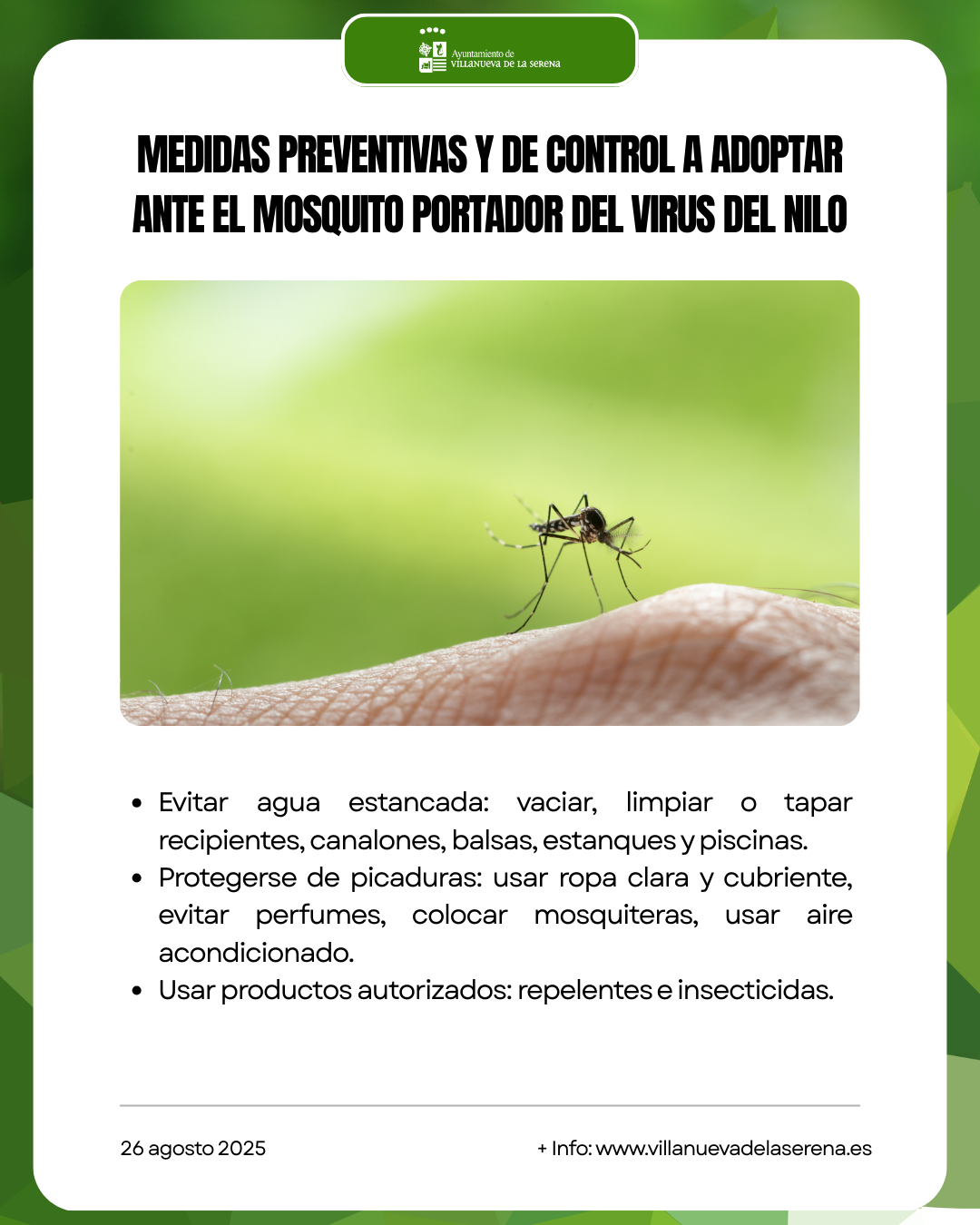 Medidas para prevenir el Virus del Nilo: control de mosquitos y protección personal