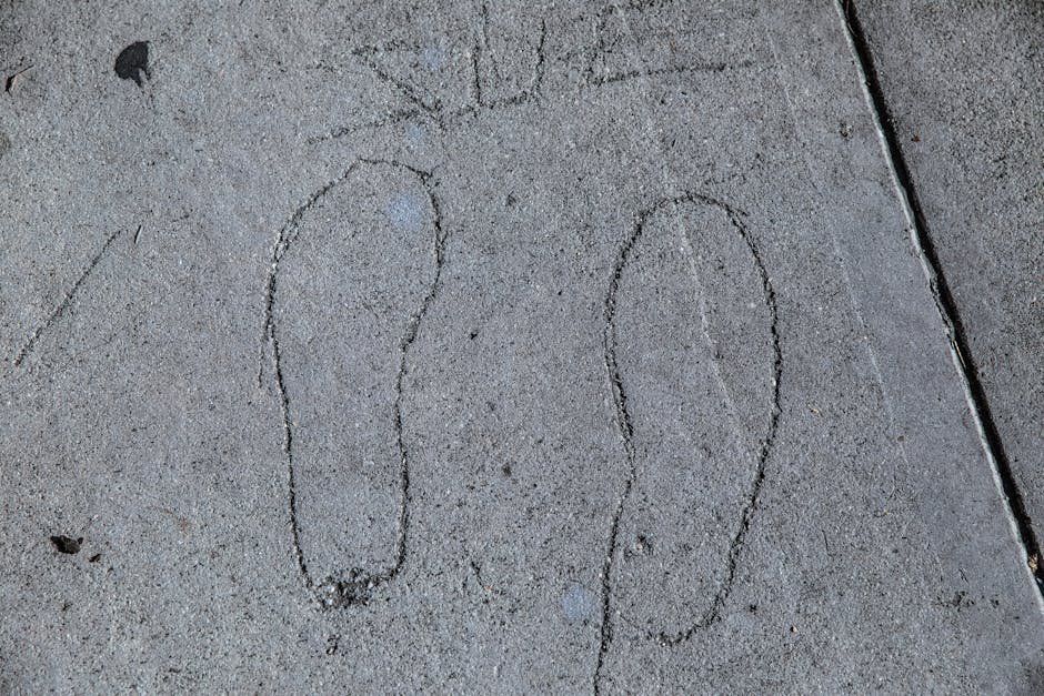 Descubre el mirador del tejo y museo de la ciudad de Montijo