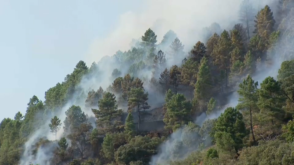 Territorios afectados por incendios en Extremadura declarados zona catastrófica