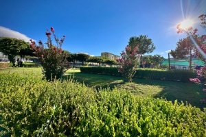 Reposición de árboles y arbustos en parques y jardines de Badajoz.