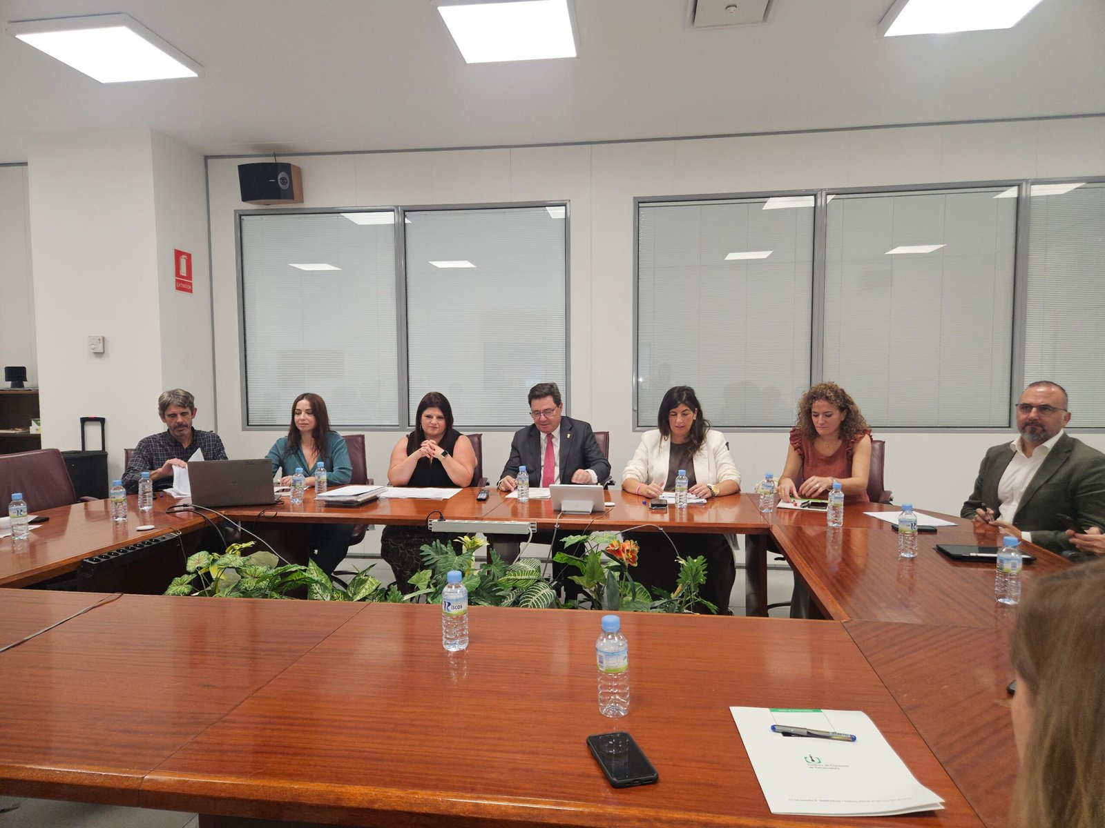 El Consejo de Comercio aprueba festivos de apertura y destaca buen momento del sector minorista en Extremadura
