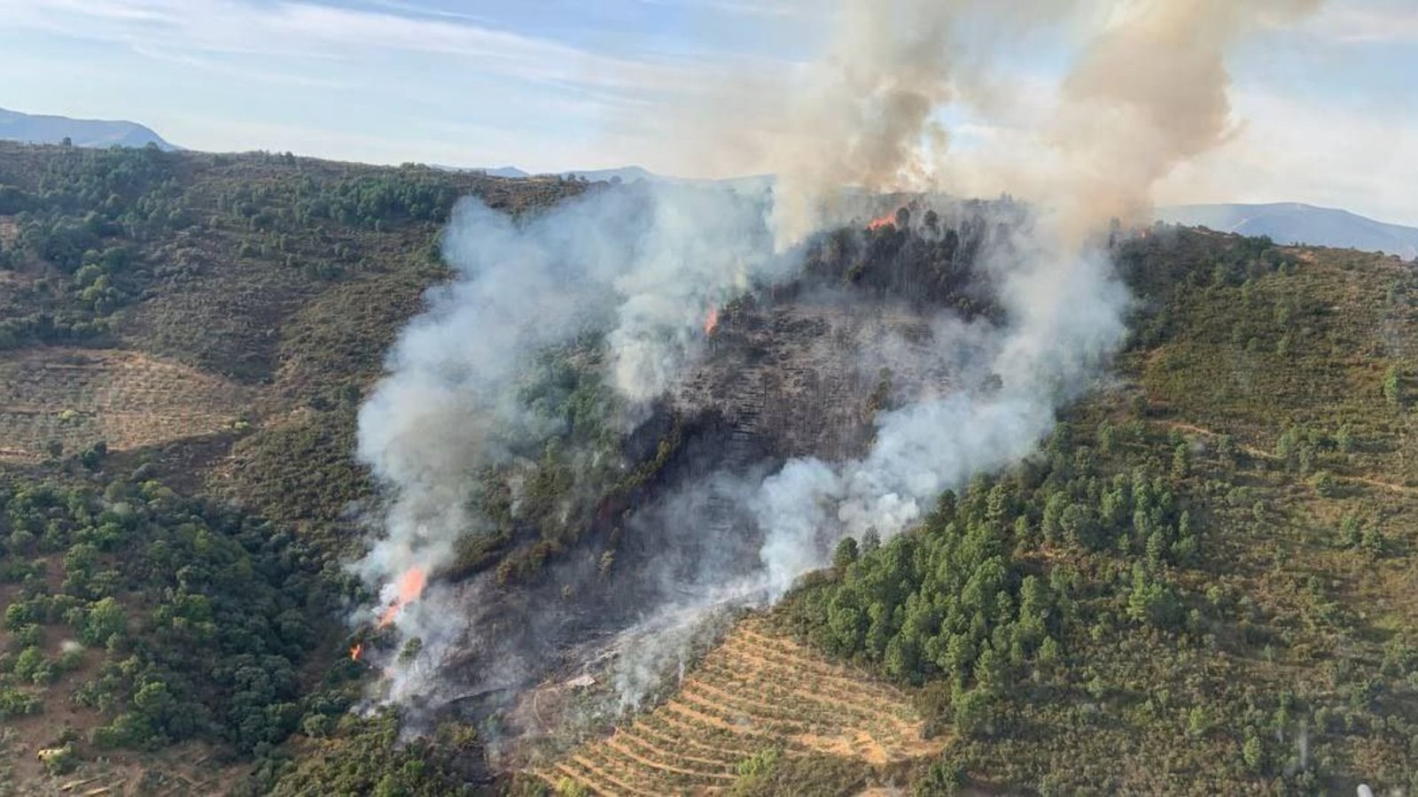 Incendios forestales en Valle de la Serena y Marchagaz requieren amplia movilización de medios.