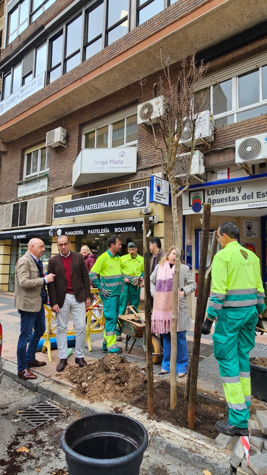 Plantación de 34 nuevos árboles en la avenida Antonio Hurtado de Cáceres para mejorar la imagen urbana y generar sombra.