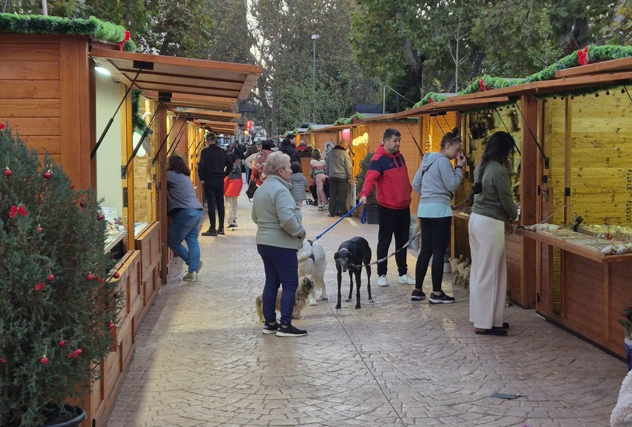 Actividades del Mercado de Artesanía Navideña en el Parque López de Ayala: talleres y actuación musical del grupo «Impacto Show»