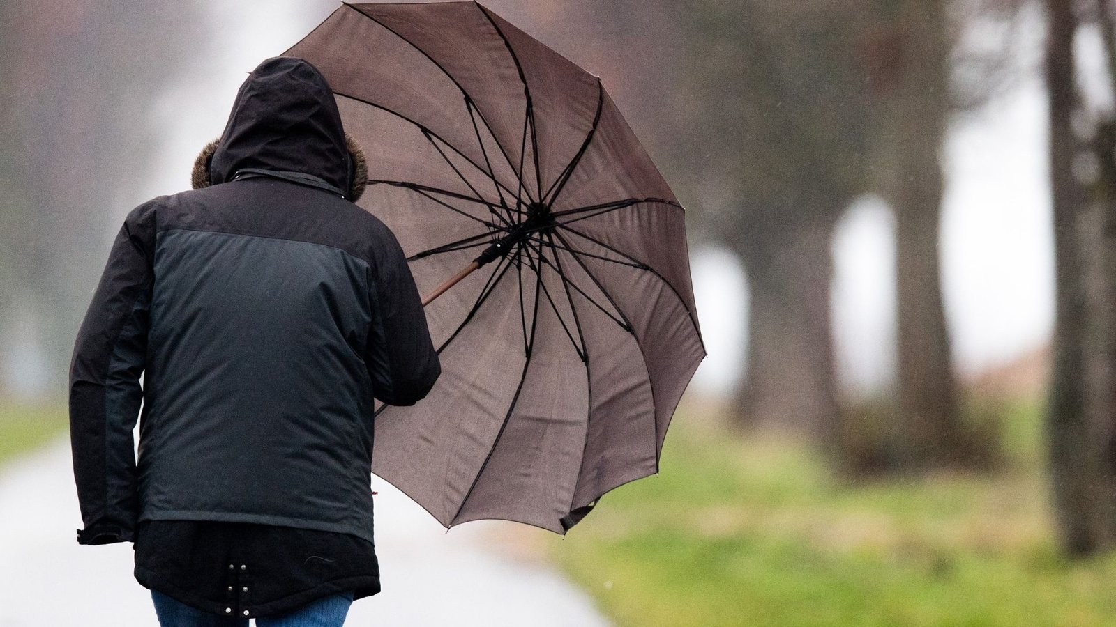 Alerta naranja por lluvias en el norte de Cáceres: precaución y medidas de seguridad