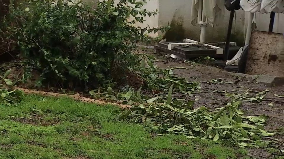 Aviso amarillo por fuertes rachas de viento en el norte de Cáceres y Villuercas-Montánchez