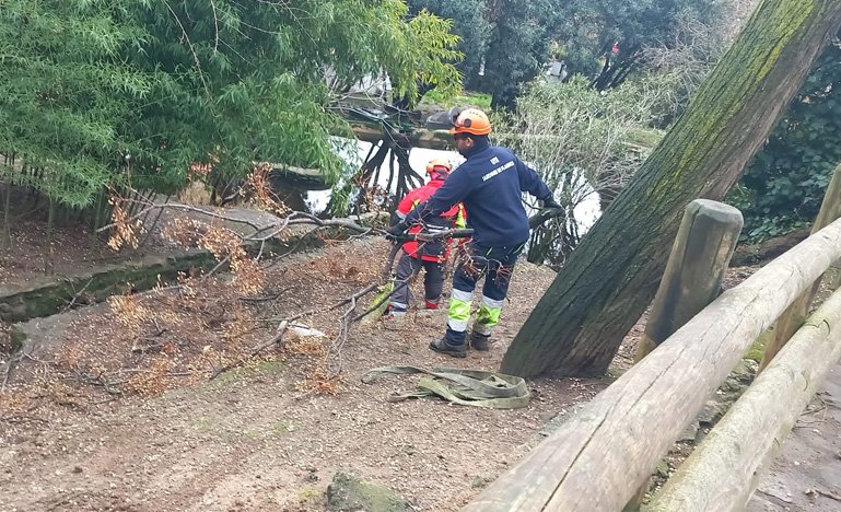 Actualización sobre el Parque de los Pinos tras la borrasca Marta: Cierre temporal por seguridad.