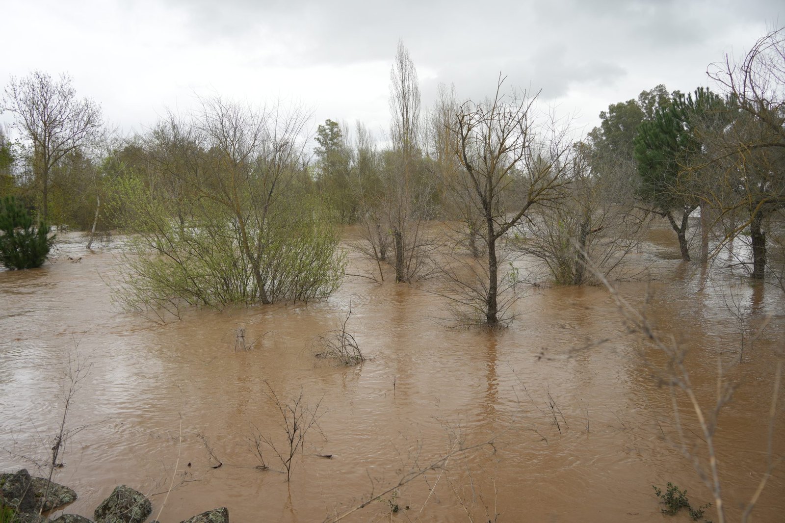 Crecida del río Zújar afecta al Badén y al camino Los Ranchos, paso hacia Entrerríos permitido