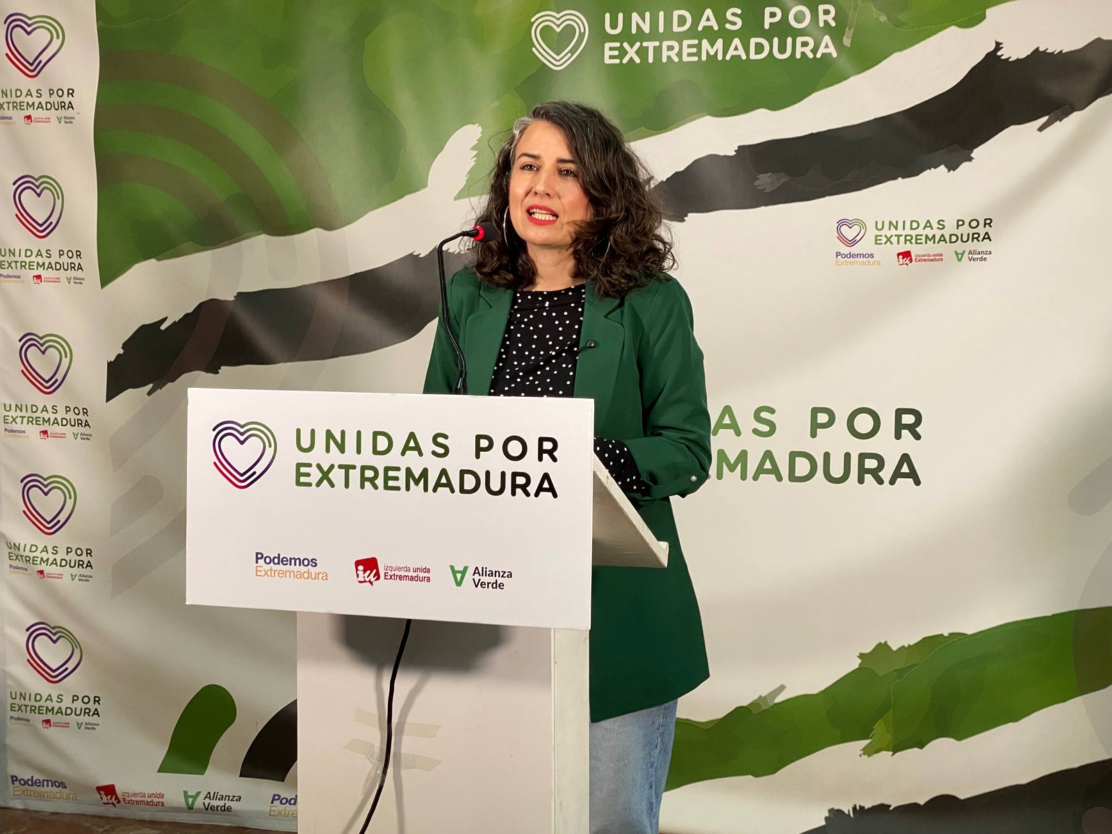 De Miguel destaca importancia de servicios de emergencia y alcaldes ante temporal.