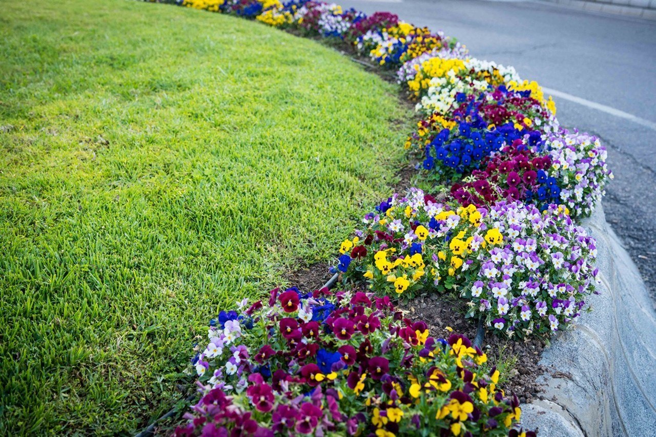 3.400 nuevas flores para embellecer la ciudad en primavera y Semana Santa