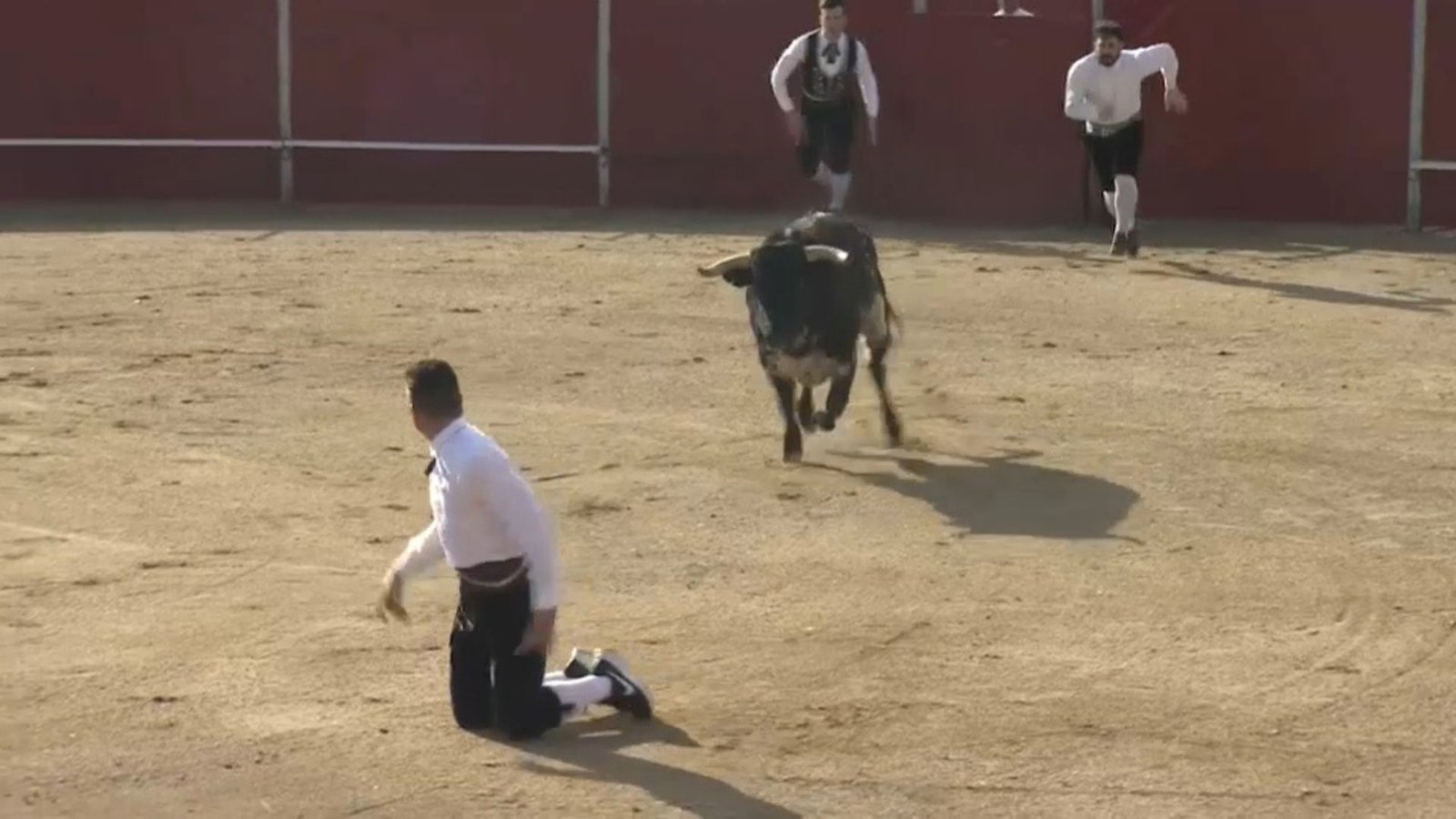 Arranca la décima edición de la Feria Internacional del Toro de Coria