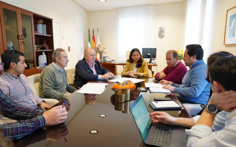 La alcaldesa se reúne para impulsar el desarrollo urbanístico de Don Benito – Ayto. Don Benito. Durante las reuniones se abordan los sectores que requieren un impulso decidido para su puesta en marcha y aquellos que es necesario retomar.