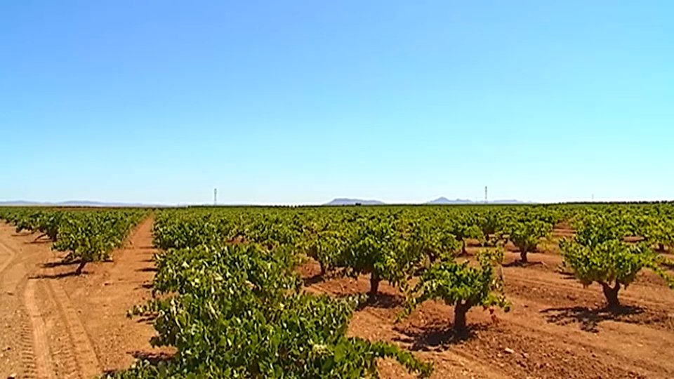 Acuerdo de PP y Vox por el regadío de Tierra de Barros antes de 2026
