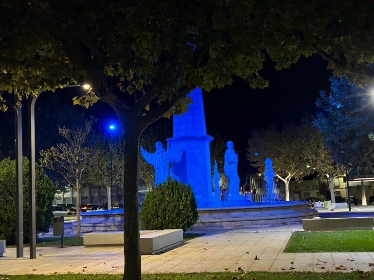 Un total de 29 alumnos y tres profesoras franceses, de intercambio con alumnos del instituto Pedro de Valdivia