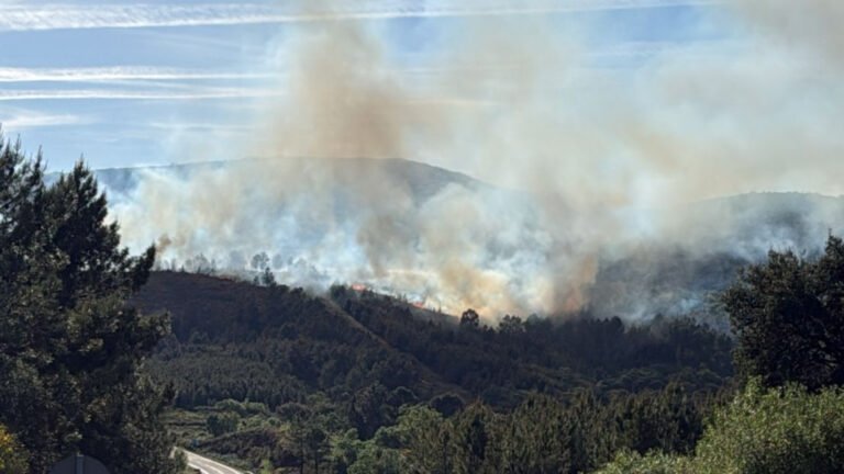Se-ha-desatado-un-incendio-forestal-en-Acebo-en-la.jpg